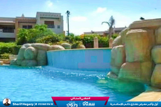 WhatsApp Image 2025-11-27 at 18.13.54