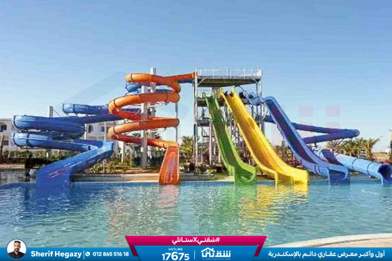 WhatsApp Image 2025-11-27 at 18.13.55