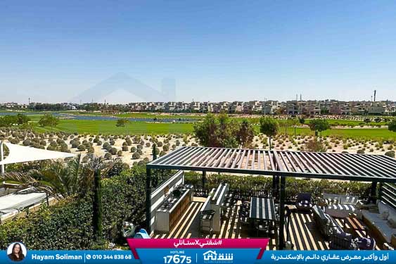 WhatsApp Image 2025-11-29 at 16.24.34 (1)