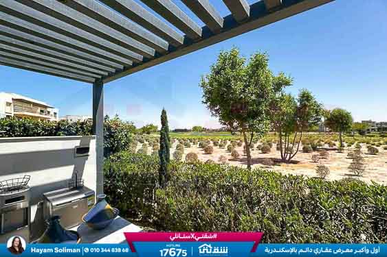 WhatsApp Image 2025-11-29 at 16.24.36