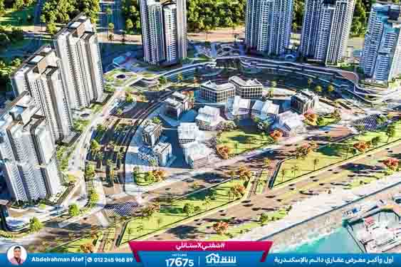 WhatsApp Image 2025-12-03 at 10.29.31 PM (1)