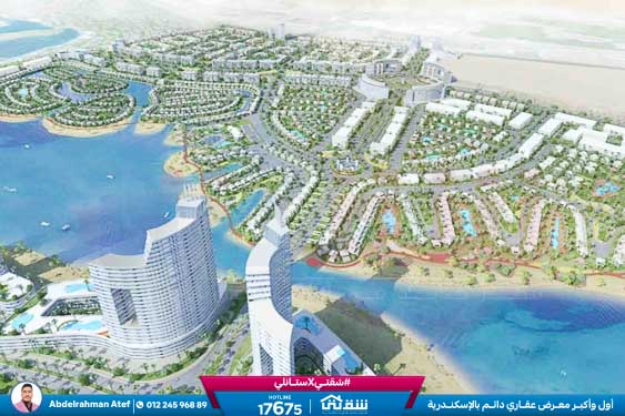 WhatsApp Image 2025-12-04 at 11.29.33 PM