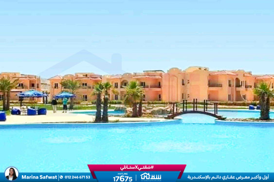 WhatsApp Image 2025-12-06 at 12.18.05 PM (1)