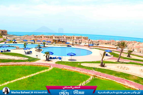 WhatsApp Image 2025-12-06 at 12.18.05 PM