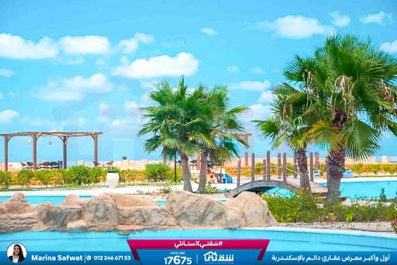 WhatsApp Image 2025-12-06 at 12.18.06 PM (2)