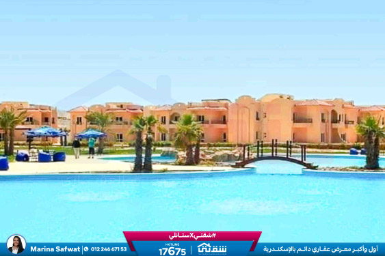 WhatsApp Image 2025-12-06 at 12.18.07 PM