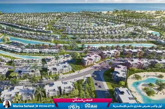 WhatsApp Image 2025-12-06 at 12.23.47 PM (3)