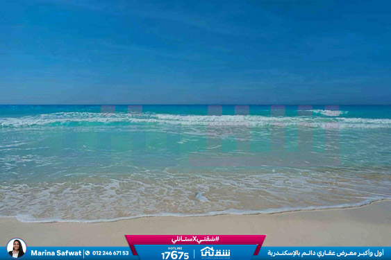 WhatsApp Image 2025-12-06 at 12.23.48 PM (2)