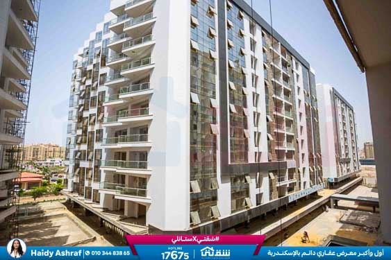 WhatsApp Image 2025-12-13 at 14.09.45_11413bea