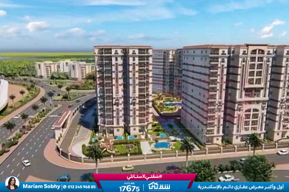 WhatsApp Image 2025-12-15 at 4.57.52 PM