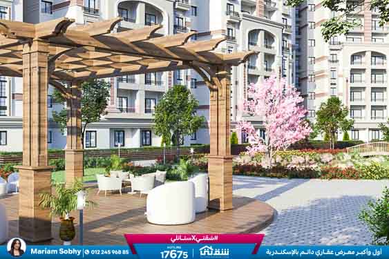 WhatsApp Image 2025-12-15 at 4.57.55 PM (1)