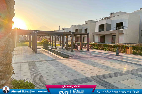 WhatsApp Image 2025-12-18 at 5.37.20 PM