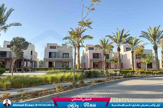 WhatsApp Image 2025-12-18 at 5.37.21 PM (1)