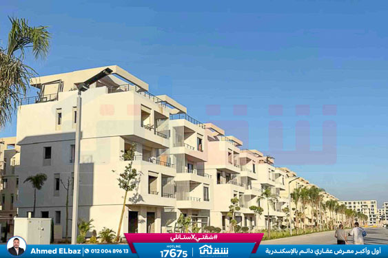 WhatsApp Image 2025-12-18 at 5.52.54 PM (3)