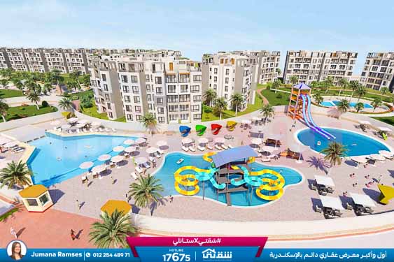 WhatsApp Image 2025-12-20 at 4.19.35 PM