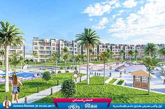 WhatsApp Image 2025-12-20 at 4.19.42 PM