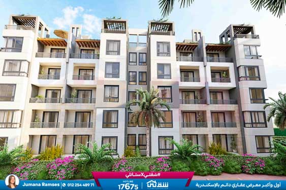 WhatsApp Image 2025-12-20 at 4.19.58 PM