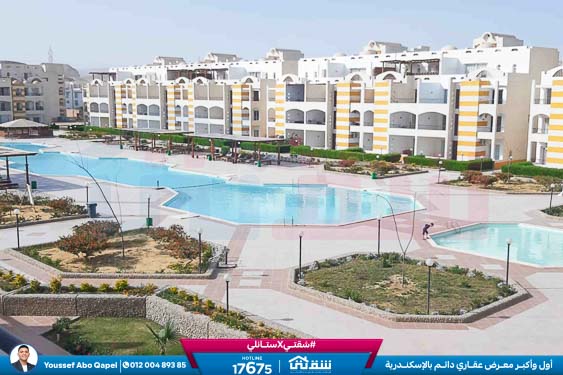 WhatsApp Image 2025-12-22 at 11.11.51 PM (1)