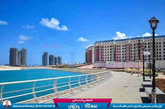 WhatsApp Image 2025-12-25 at 15.18.39