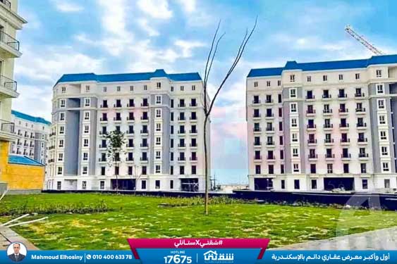 WhatsApp Image 2025-12-25 at 15.18.40