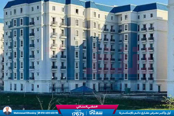 WhatsApp Image 2025-12-25 at 15.18.46