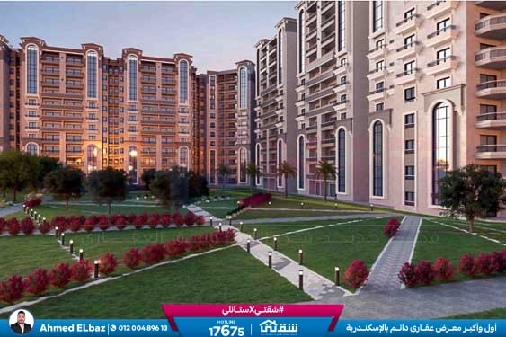 WhatsApp Image 2025-12-25 at 16.43.36