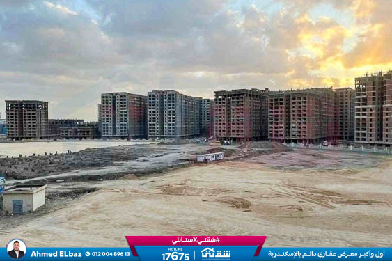 WhatsApp Image 2025-12-25 at 16.43.38