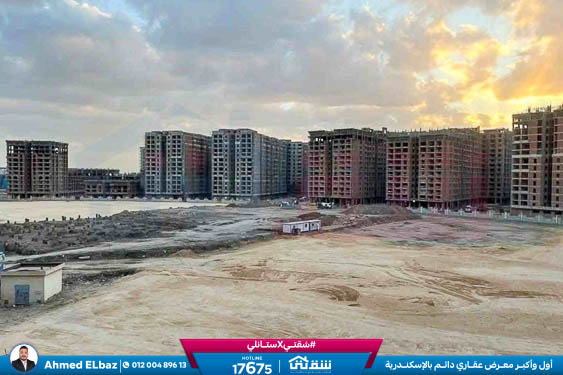 WhatsApp Image 2025-12-25 at 16.43.41 (1)