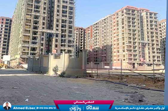 WhatsApp Image 2025-12-25 at 16.43.41