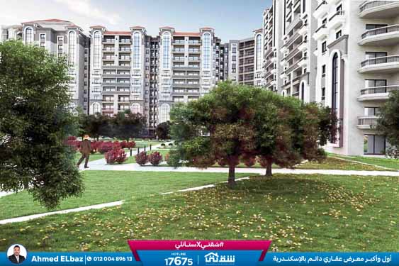 WhatsApp Image 2025-12-25 at 16.43.42