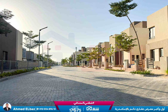 WhatsApp Image 2025-12-25 at 16.44.22 (1)