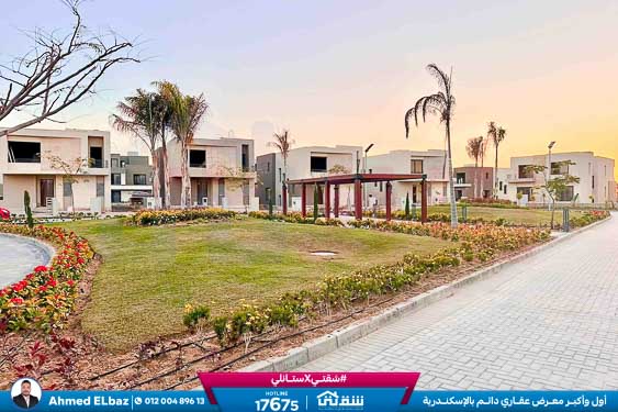 WhatsApp Image 2025-12-25 at 16.44.22