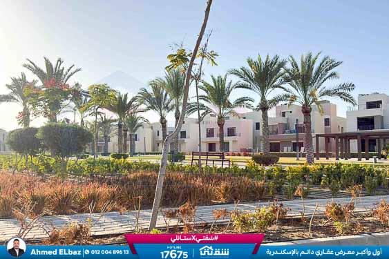 WhatsApp Image 2025-12-25 at 16.44.24 (1)