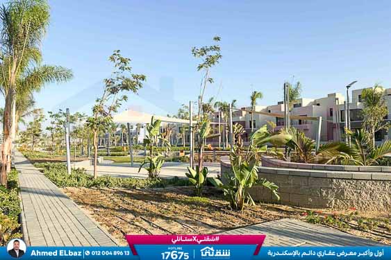 WhatsApp Image 2025-12-25 at 16.44.24