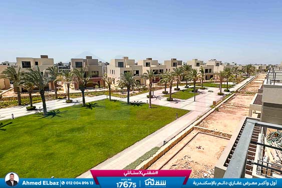 WhatsApp Image 2025-12-25 at 16.44.25 (1)