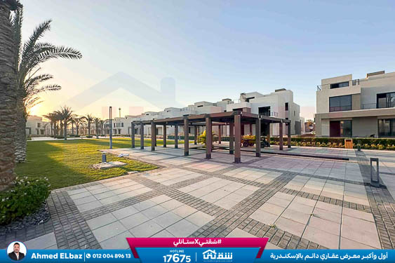 WhatsApp Image 2025-12-25 at 16.44.25