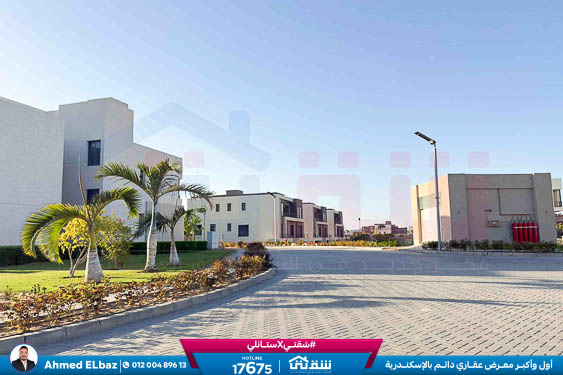 WhatsApp Image 2025-12-25 at 16.44.26 (1)