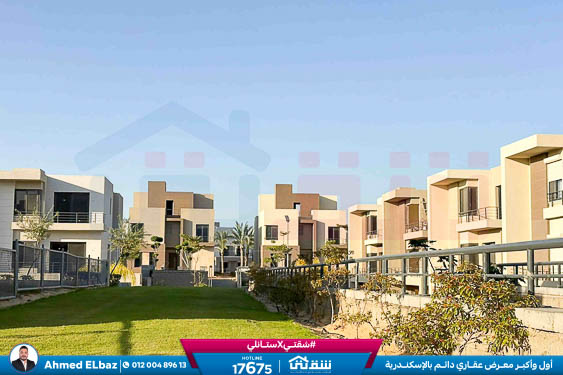 WhatsApp Image 2025-12-25 at 16.44.27 (1)