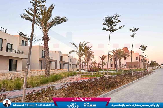 WhatsApp Image 2025-12-25 at 16.44.27