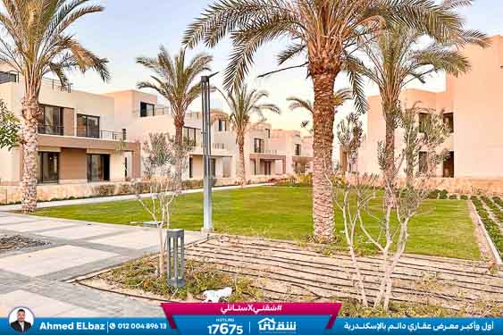 WhatsApp Image 2025-12-25 at 16.44.28 (1)