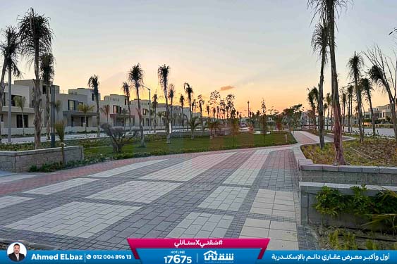 WhatsApp Image 2025-12-25 at 16.44.29