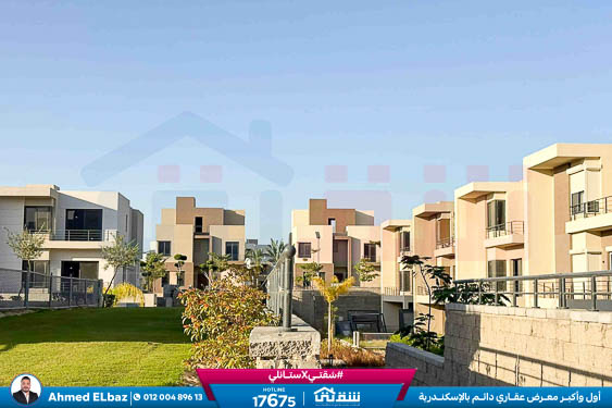 WhatsApp Image 2025-12-25 at 16.44.30 (1)