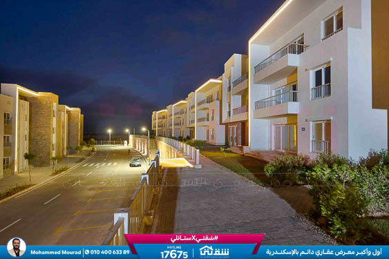 WhatsApp Image 2025-12-27 at 10.02.21 (1)