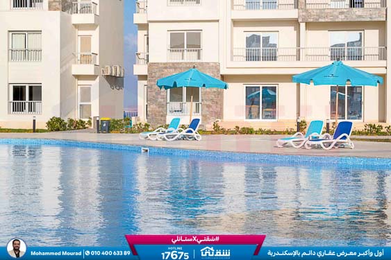 WhatsApp Image 2025-12-27 at 10.02.25 (1)