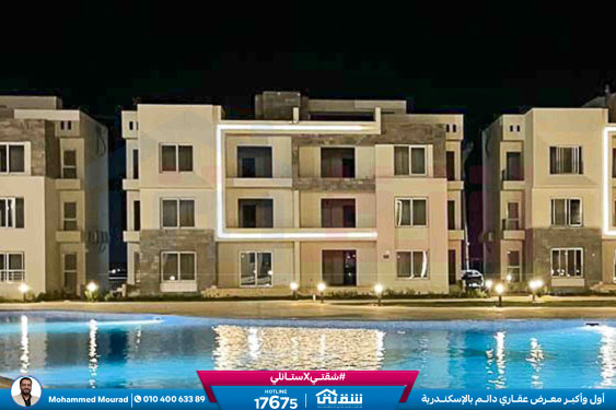 WhatsApp Image 2025-12-27 at 10.02.26 (1)