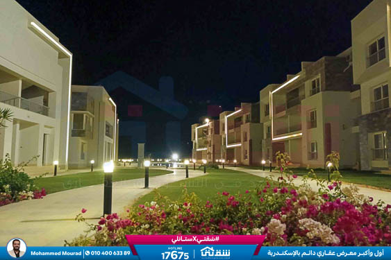 WhatsApp Image 2025-12-27 at 10.02.27