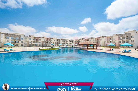 WhatsApp Image 2025-12-27 at 10.02.28 (1)