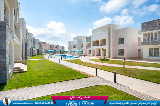 WhatsApp Image 2025-12-27 at 10.02.28