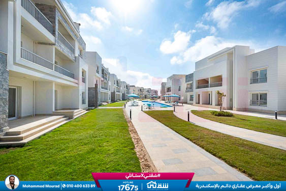 WhatsApp Image 2025-12-27 at 10.02.30 (1)