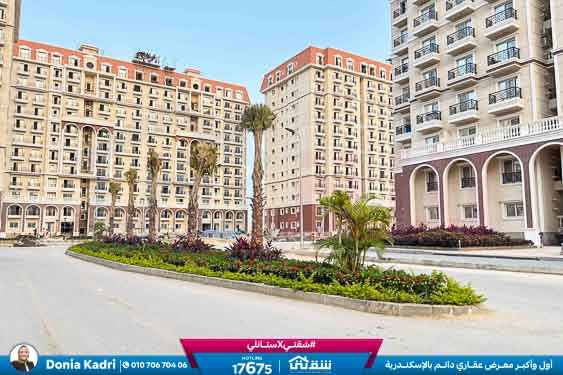 WhatsApp Image 2025-12-27 at 13.21.37 (2)